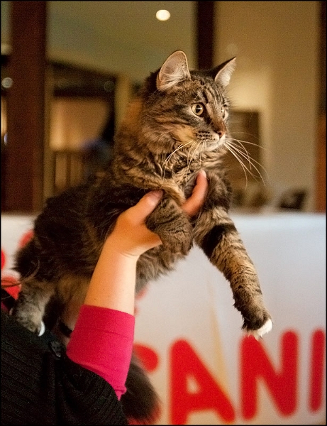 Esénée Durandal 1.jpg - Esénée Durandal